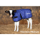 Shoof Thermoo Cubreternero Azul - M 